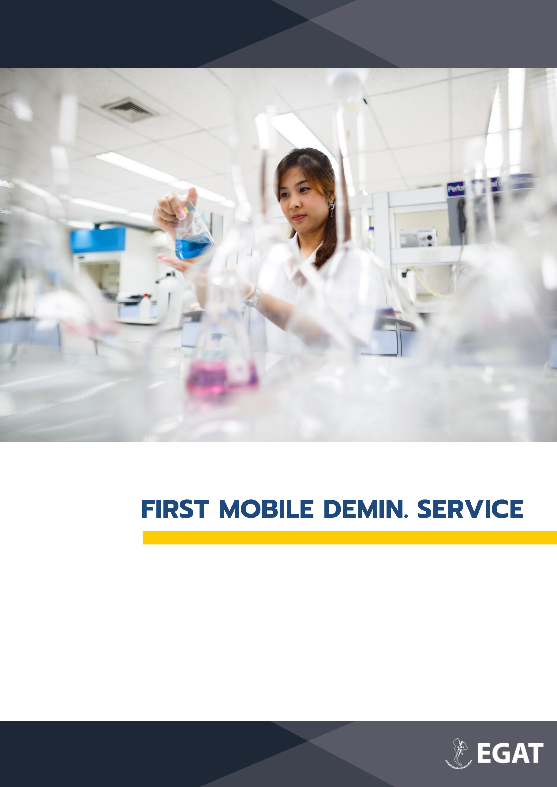 First Mobile Demin. Service