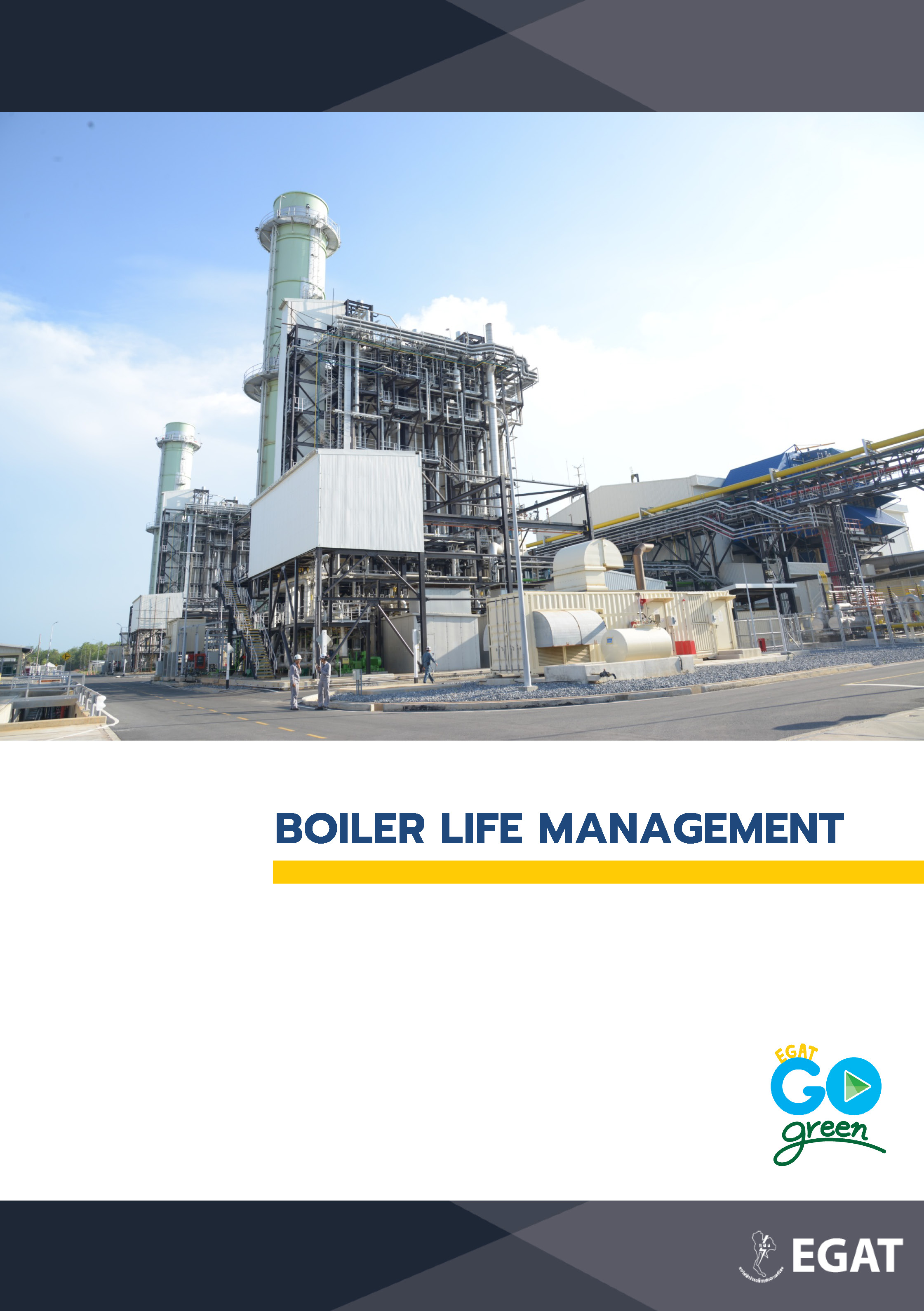 Boiler Life Management