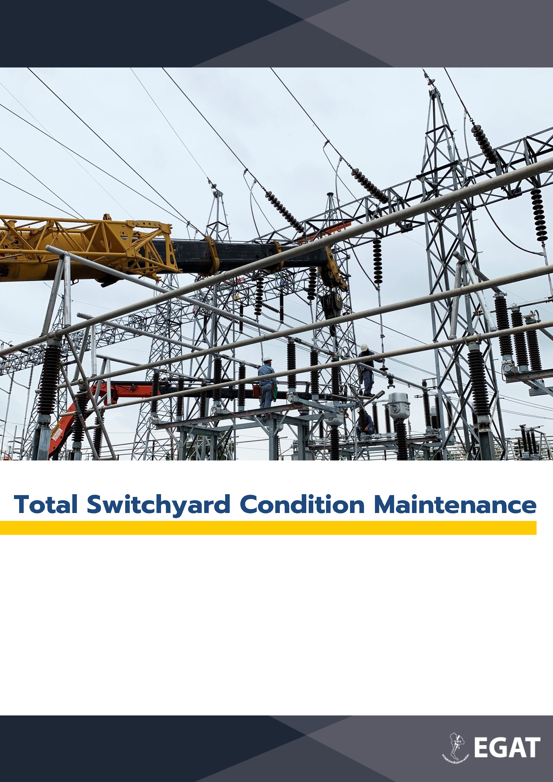 Total Switchyard Condition Maintenance
