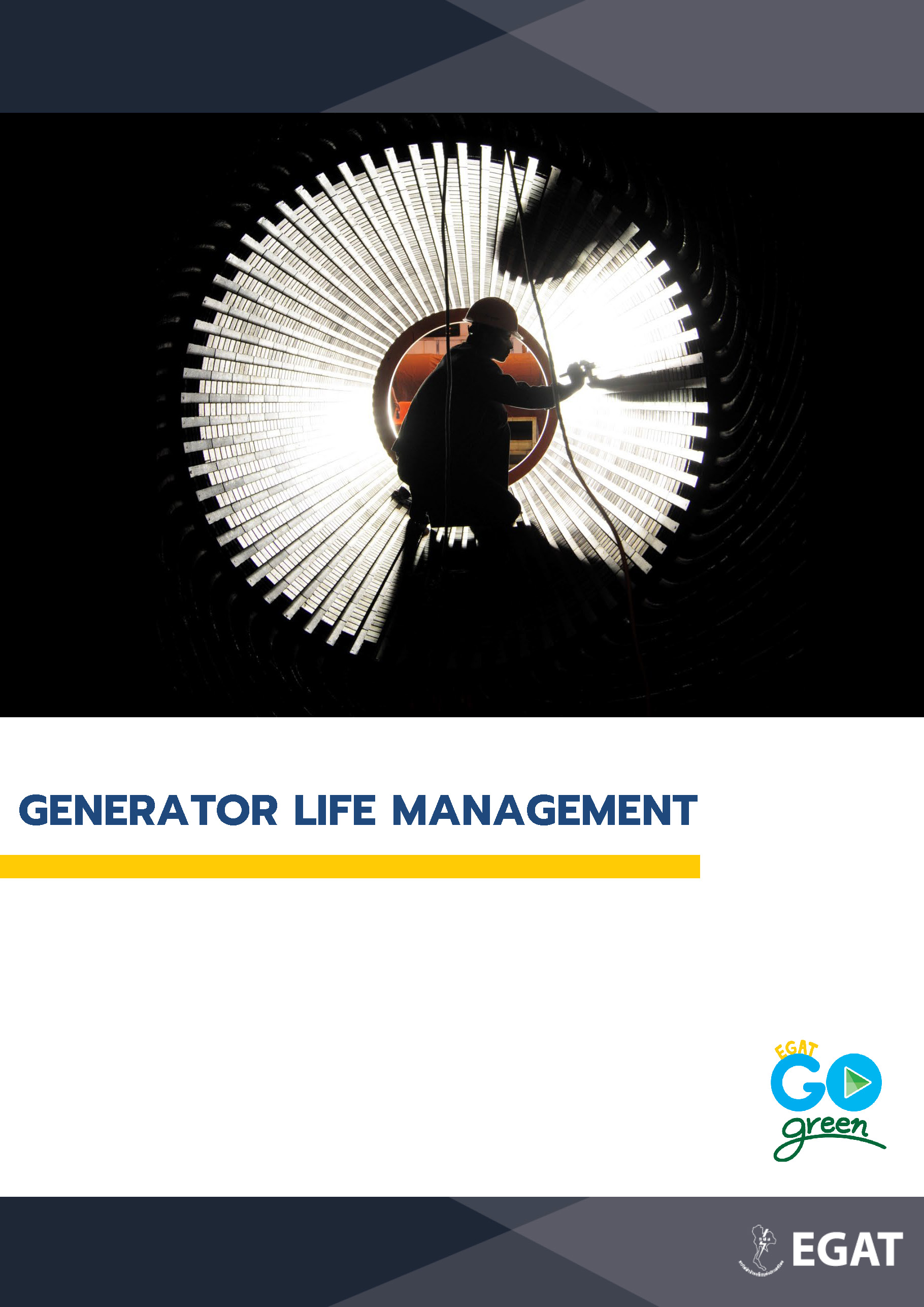 Generator Life Management